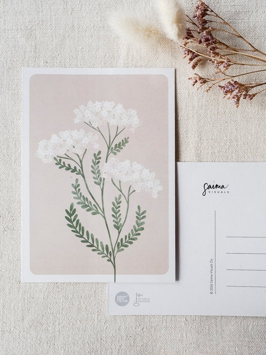 Siankärsämö -postikortti, 1-osainen