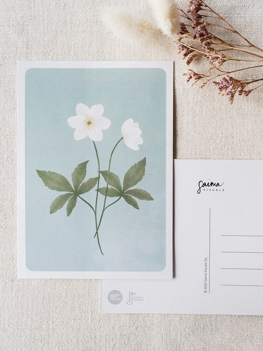 Valkovuokot -postikortti, 1-osainen