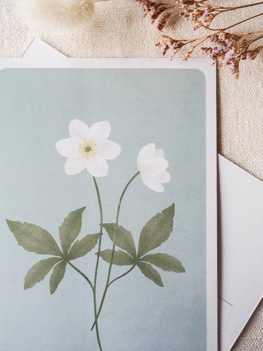 Valkovuokot -postikortti, 1-osainen